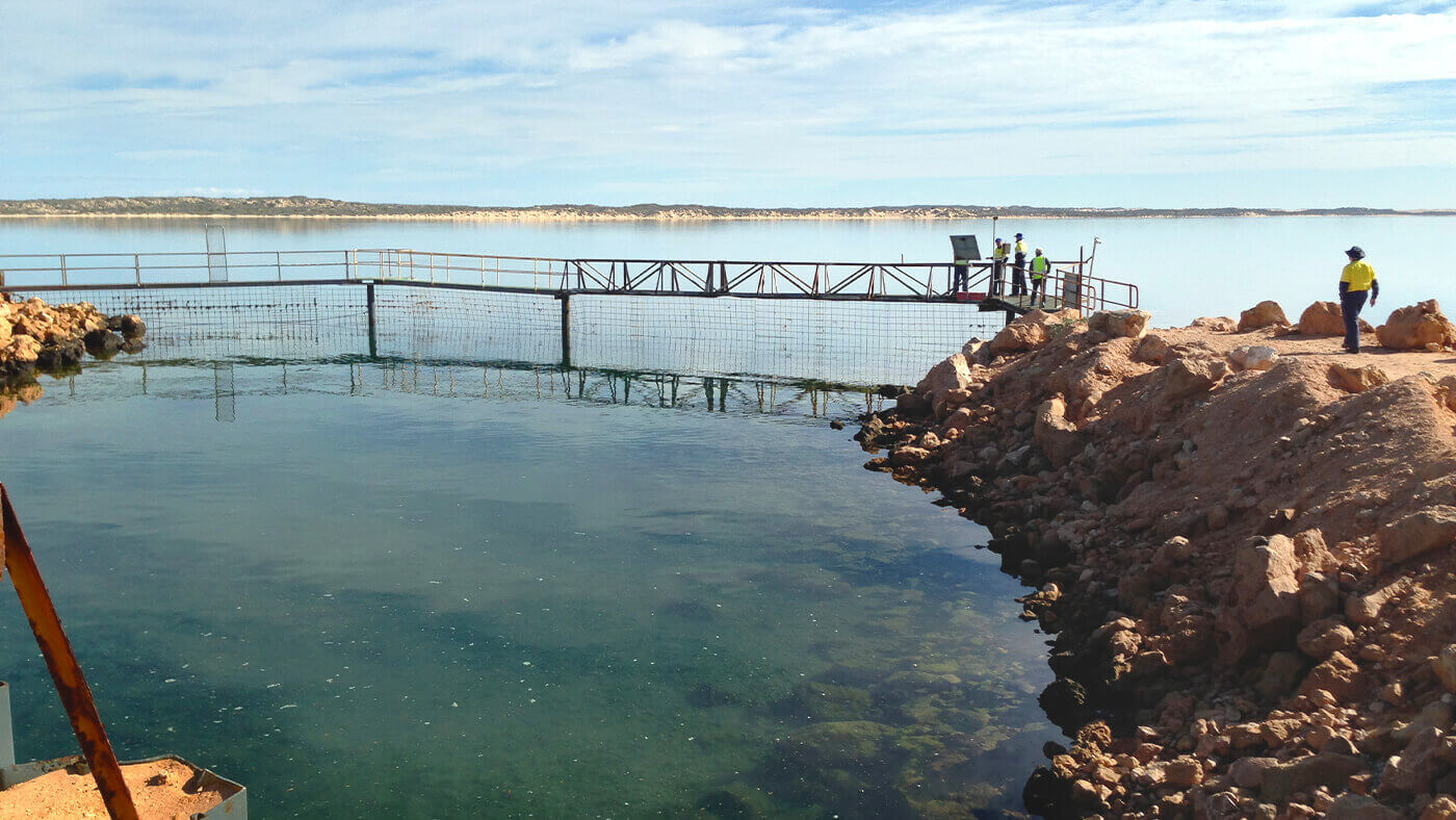 オーストラリア 塩 海水取水